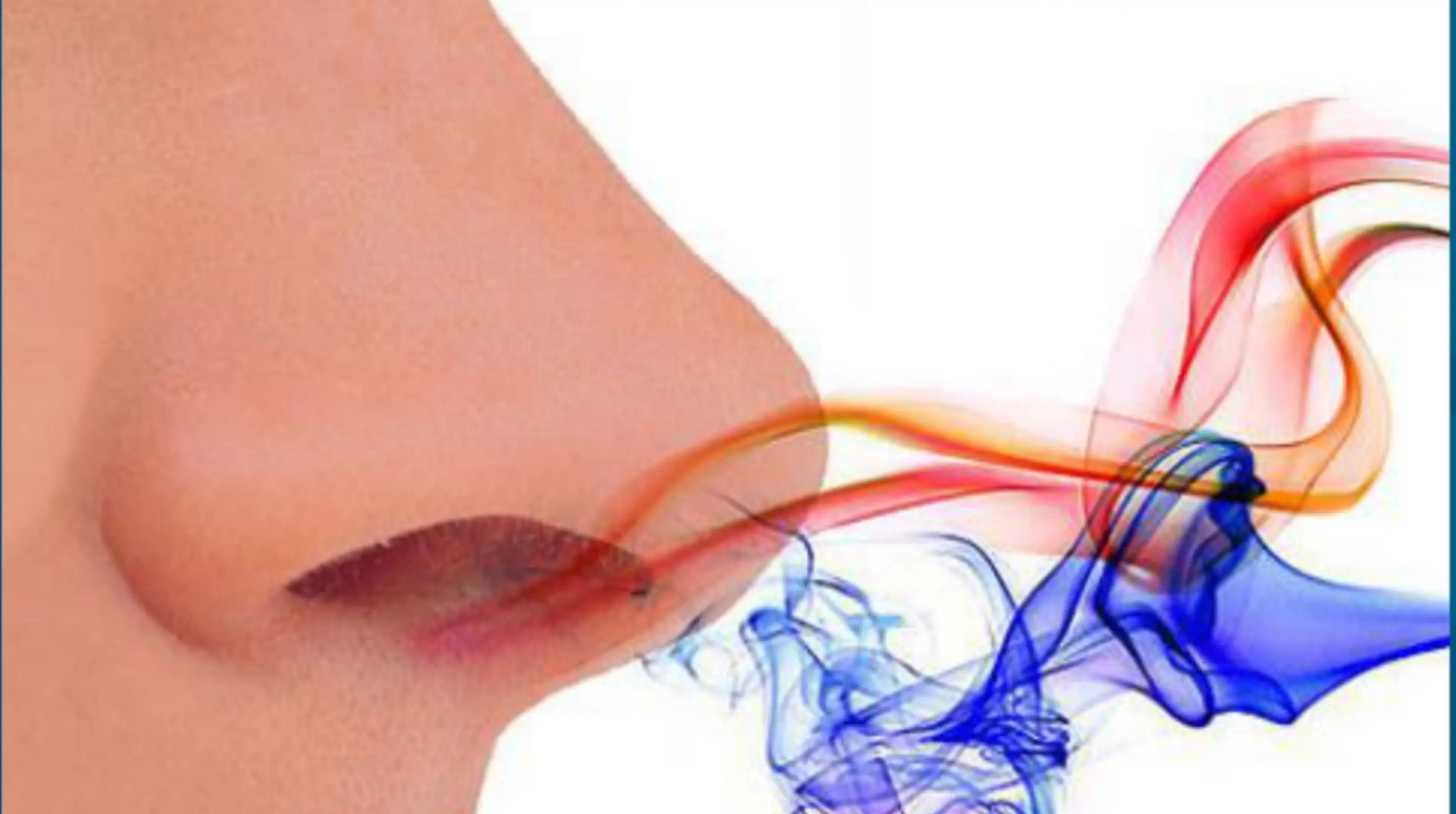 فقدان حاسة الشم